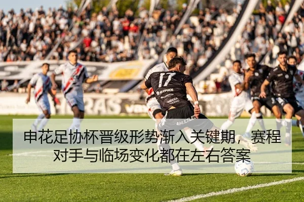 img_1780376315289_533_0_720.jpg（kaiyun）